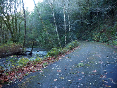 [The stream is on the left with trees on both sides. The paved road is curving around the stream and going uphill while the stream remains at the same level (so the road gets progressively higher above the stream).]